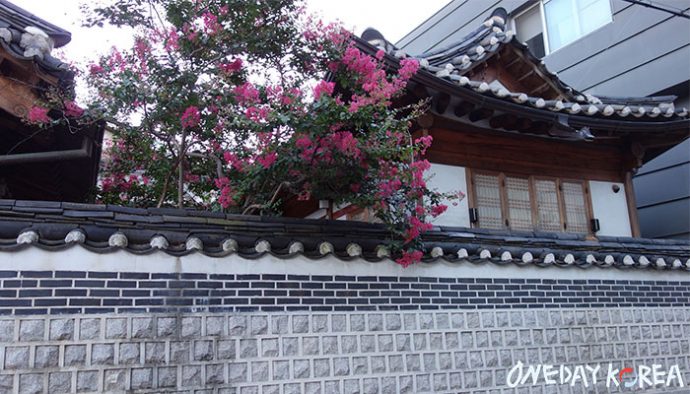 bukchon hanok village tradition