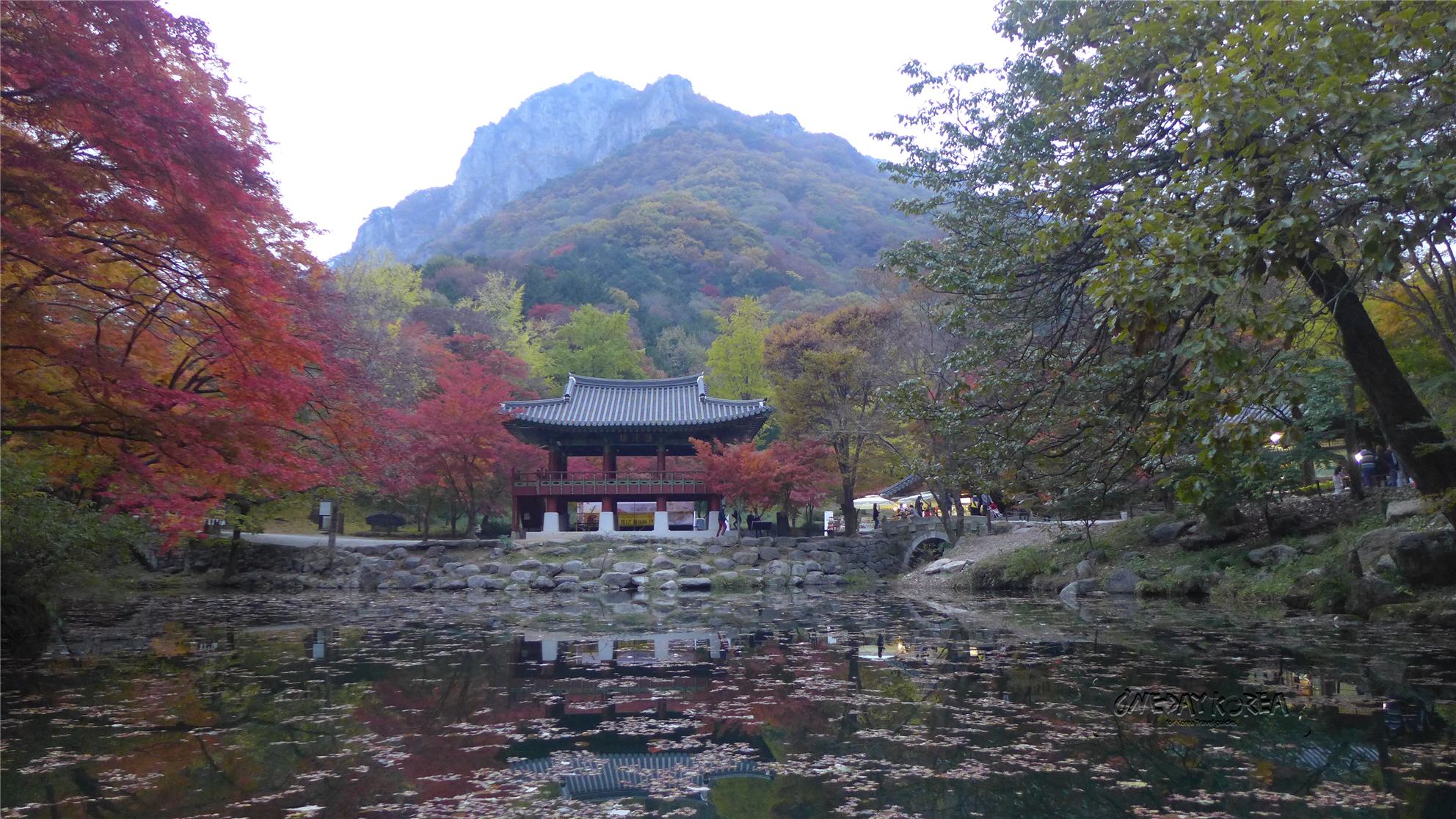 10 Things to Do in Korea in Autumn | Oneday Korea