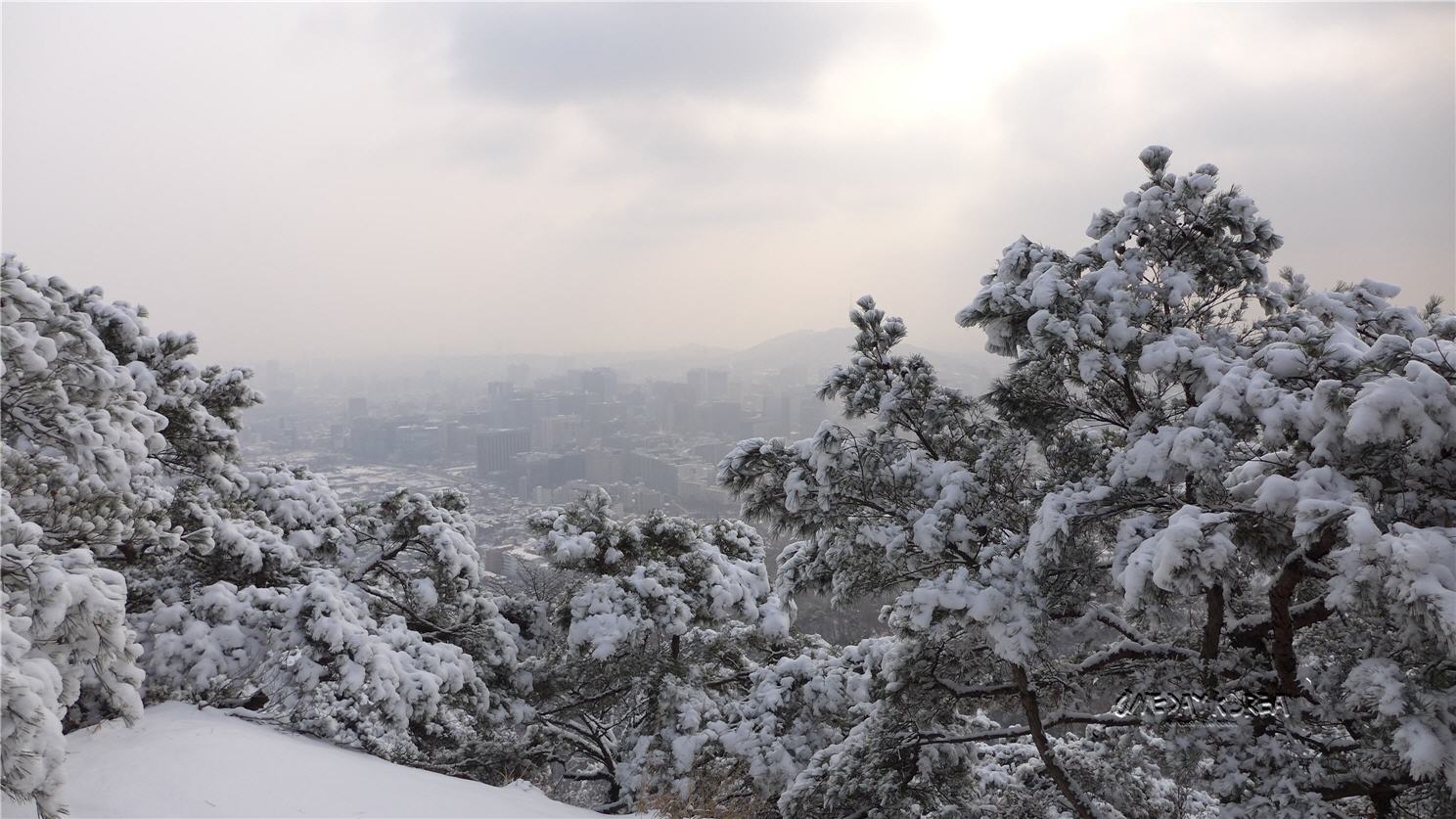 10 Best Things to Do in Winter in Korea | Oneday Korea