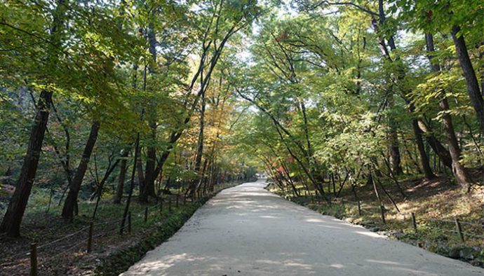 pocheon korea national arboretum