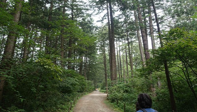 pocheon arboretum