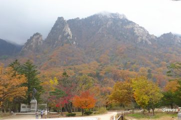 Korea Fall Foliage