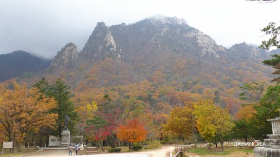 Korea Fall Foliage