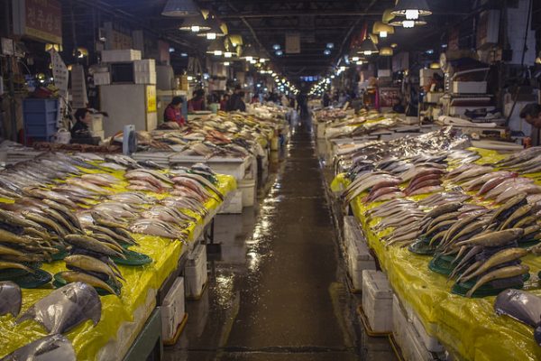Noryangjin Fishmarket