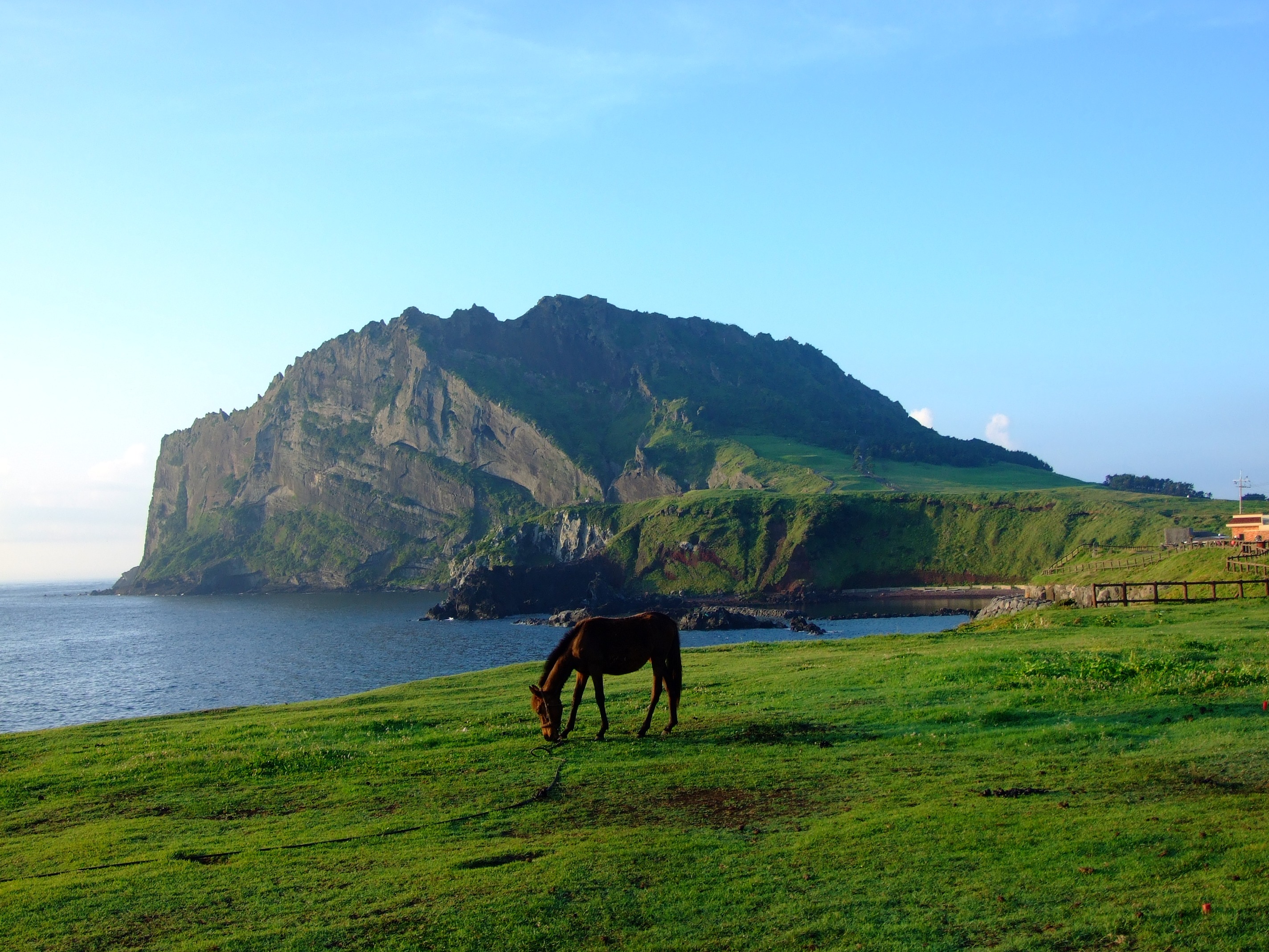 The Best Things To Do And See In Jeju Island