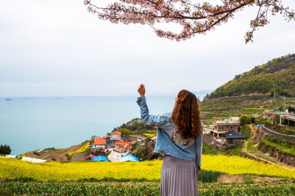 Rice Terraces in Namhae