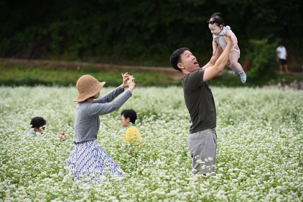 Hyoseok Culture Festival